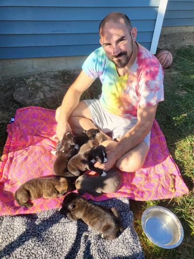 Jake outside on a blanket with a litter of foster puppies